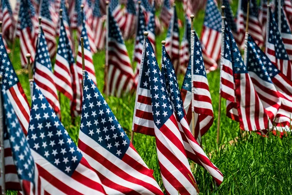 Gazilerimizi daha az savaşla ve çimenlerdeki küçük Amerikan bayraklarıyla kutluyoruz. Amerika 'daki gazilerin ve askeri gazilerin anısına.