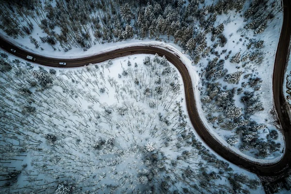 Ormandaki yolun havadan görünüşü