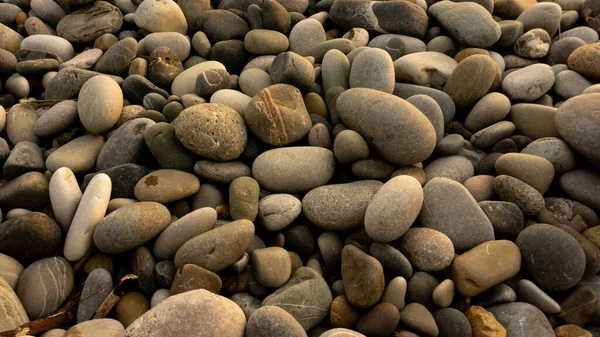 Havsstenar bakgrund med små stenar eller sten i trädgården eller i havet eller på en strand. En närbild av rundade släta polerade stenar — Stockfoto