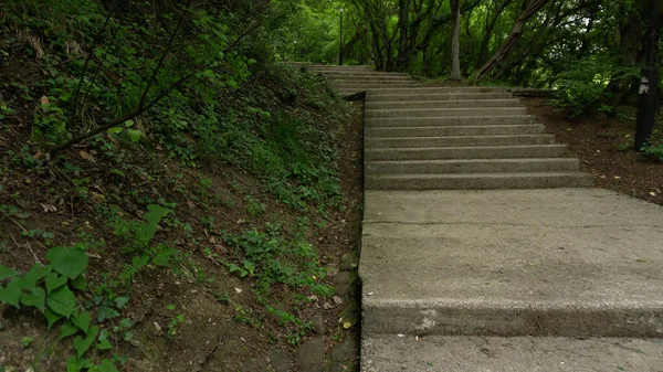 Gradini in pietra in un parco verde. Scala nella città di Lazarevskoe, Sochi, Russia — Foto Stock