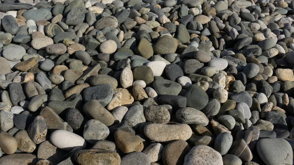 Fond Pierres Mer Avec Petits Cailloux Pierre Dans Jardin Bord — Photo