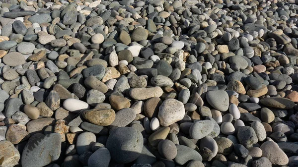 庭や海辺やビーチで小さな小石や石で海の石の背景 丸みを帯びた滑らかな研磨小石の近景 — ストック写真