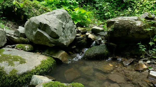 Rio Montanha Entre Grandes Pedras Uma Floresta Verde Com Pequenas — Fotografia de Stock