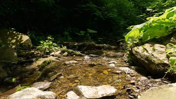 Dağ Nehri Küçük Şelaleleri Olan Yeşil Ormandaki Büyük Taşların Arasında — Stok fotoğraf