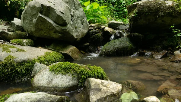 Dağ nehri, küçük şelaleleri olan yeşil ormandaki büyük taşların arasında. Sochi, Lazarevskoe, Berendeevo krallığı. — Stok fotoğraf