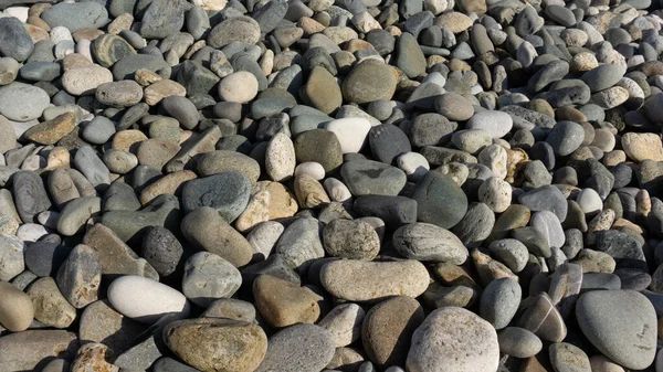 Fondo de piedras marinas con pequeños guijarros o piedras en el jardín o en la playa o en la playa. Una vista cercana de piedras pulidas lisas redondeadas —  Fotos de Stock