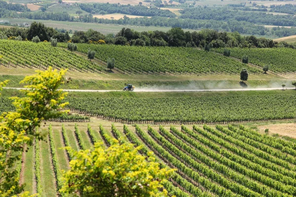 Bela Paisagem Toscana Itália Campos Verdes Frescos Prados Todos Lugares — Fotografia de Stock