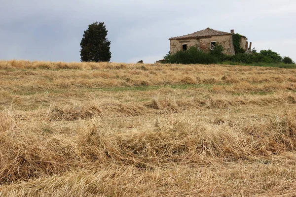 Typical Old Stone House Now Ruin Standing Italy Tuscany Field — Stock Photo, Image