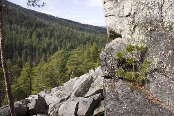 Der Große Felsblock Oder Block Voller Steine Und Felsen Der — Stockfoto