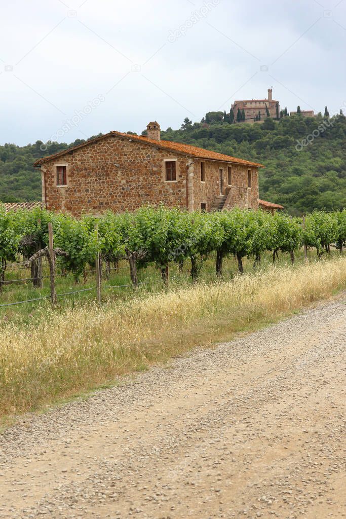 The typical dusty gravel roads in Tuscany in Italy with a nice nature and landscape around and old houses around.