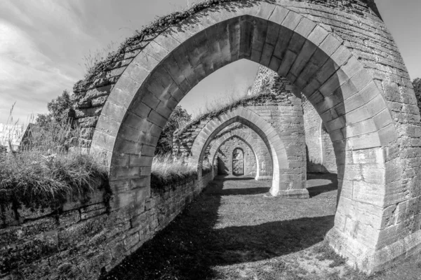 Ruins Old Monastery Alvastra Sweden Nice Summer Day Tourist Attraction —  Fotos de Stock