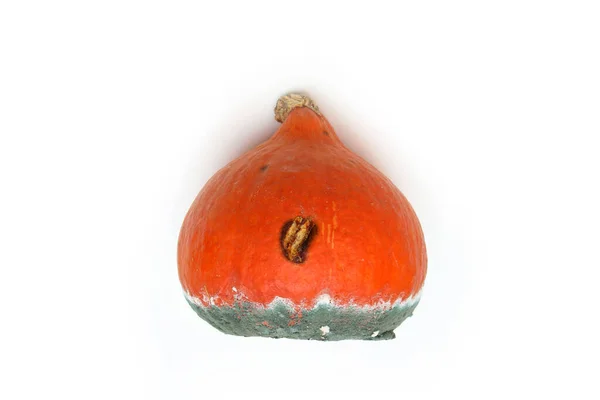 Una Imagen Una Calabaza Podrida Aislada Sobre Fondo Blanco — Foto de Stock