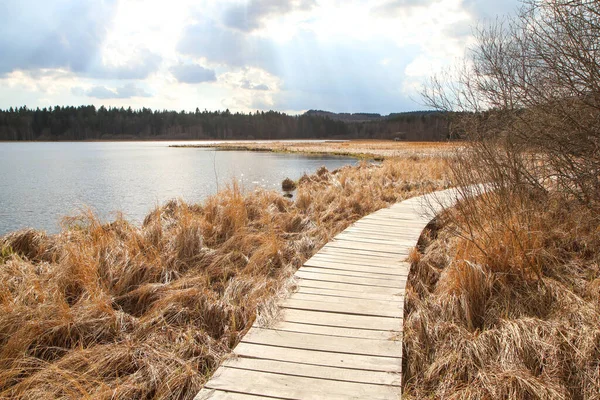 Protected Area Umava National Park Czech Republic Pond Olina Its — Stock Fotó