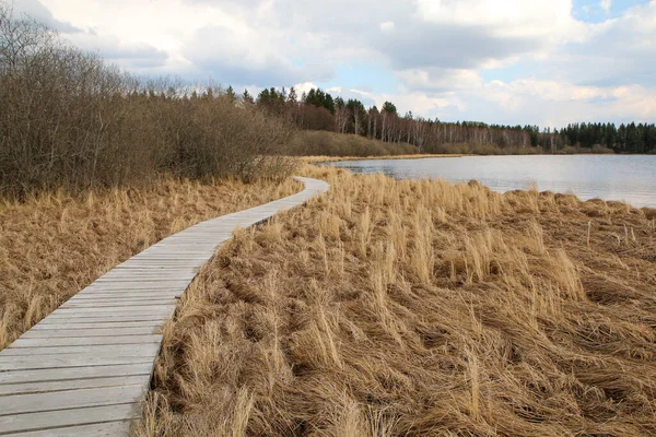 Protected Area Umava National Park Czech Republic Pond Olina Its — Stock Fotó