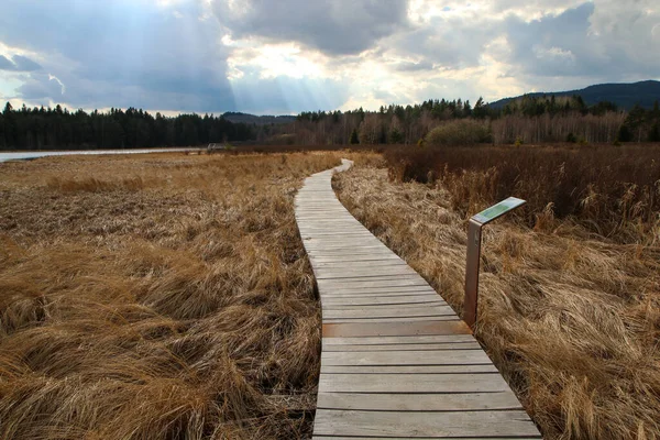 Área Protegida Parque Nacional Umava República Checa Junto Estanque Olina — Foto de Stock