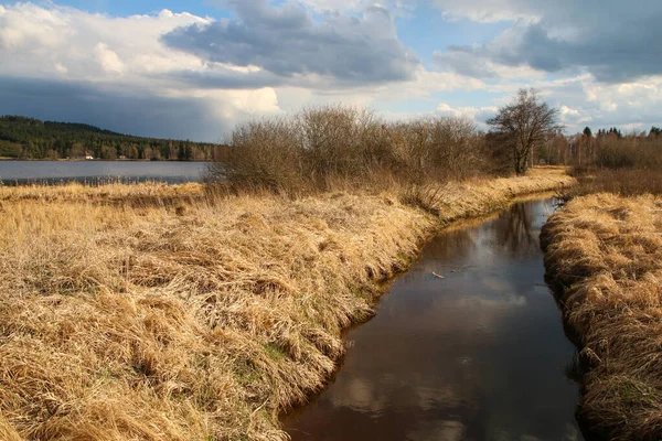 Protected Area Umava National Park Czech Republic Pond Olina Its — Photo