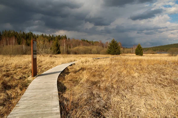 Área Protegida Parque Nacional Umava República Checa Junto Estanque Olina — Foto de Stock