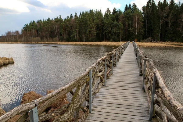 Protected Area Umava National Park Czech Republic Pond Olina Its Stockfoto