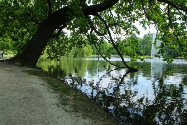 Parque Relaxamento Área Atividade Praga Chamado Stromovka Parque Árvores Com — Fotografia de Stock