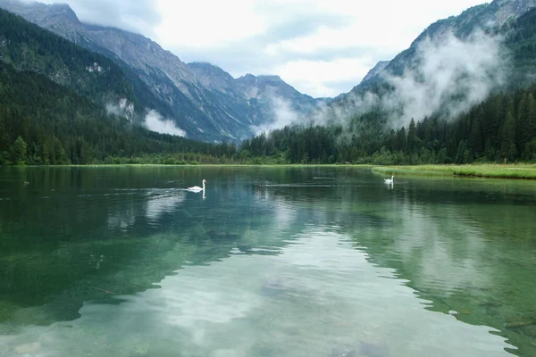 在多雨多云的日子里 位于阿尔卑斯山畔的雅格西冰川湖 游客的旅游目的地 — 图库照片