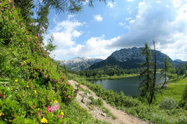 图为阿尔卑斯山陶普里兹尔姆的美丽的奥地利自然美景 — 图库照片