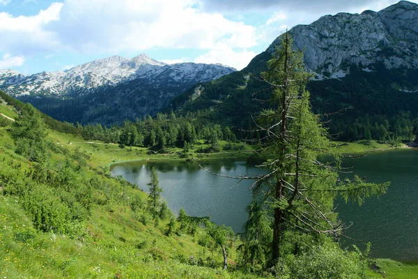 Das Bild Von Der Schönen Natur Österreich Auf Der Tauplitzalm — Stockfoto