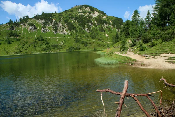 Imagem Bela Natureza Áustria Tauplitzalm Nos Alpes — Fotografia de Stock