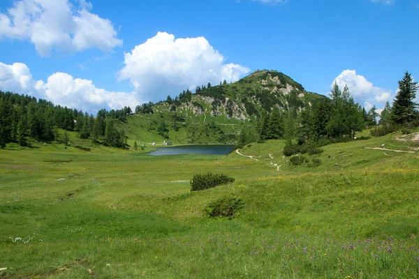 图为阿尔卑斯山陶普里兹尔姆的美丽的奥地利自然美景 — 图库照片
