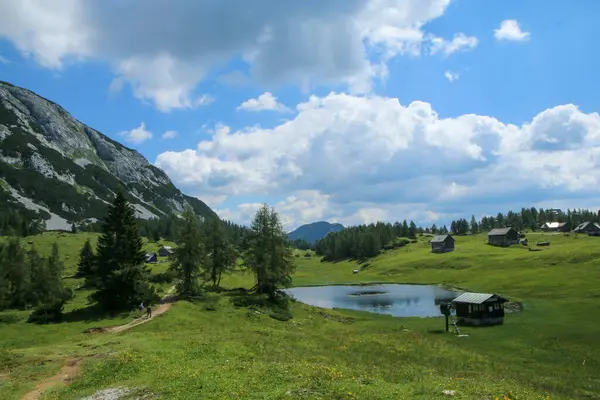 Obraz Pięknej Przyrody Austrii Tauplitzalm Alpach — Zdjęcie stockowe