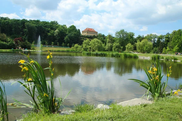 Avkoppling Och Aktivitetsområde Park Prag Kallas Stromovka Trädpark Med Sina Stockbild