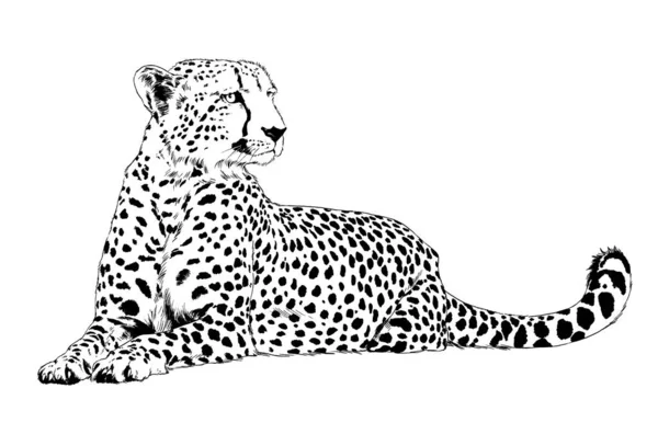 Correndo Cheetah Desenhado Mão Com Tinta Sobre Tatuagem Logotipo Fundo — Fotografia de Stock