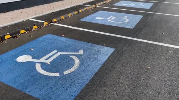 Parking Zone Marked Wheelchair Signs Disabled Handicap Sign — Stock Video