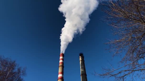 Uitzicht Witte Rook Van Thermische Centrale Schoorsteen Blauwe Lucht — Stockvideo