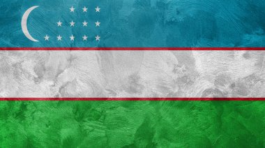 Özbekistan bayrağının desenli fotoğrafı.