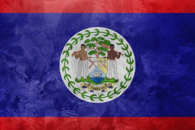 Belize bayrağının desenli fotoğrafı.