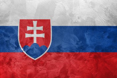 Slovakya bayrağının desenli fotoğrafı.