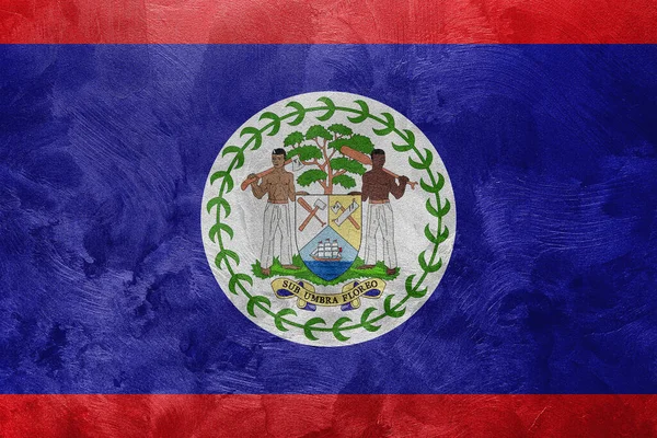 Belize bayrağının desenli fotoğrafı.