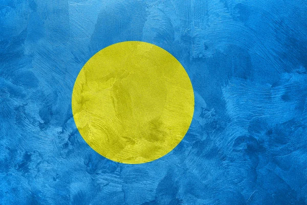 Texturovaná Fotografie Vlajky Palau — Stock fotografie