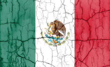 Meksika bayrağının çatalı desenli fotoğrafı..