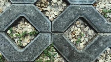 Asfaltın doğal soyut arka planı. Açık hava düzeni. Üst görünümü kapat.