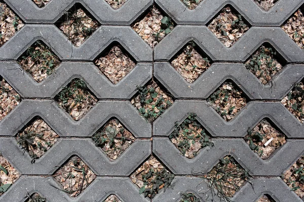 自然抽象的な背景 舗装ブロックのパターン トップ表示を閉じる — ストック写真