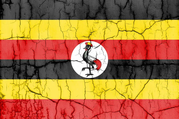 Foto Con Texture Della Bandiera Uganda Con Fessure — Foto Stock