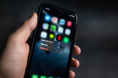 Netflix simgesinin iPhone ekranında yakın plan görüntüsü. Chisinau, Moldova - 24 Haziran 2022.