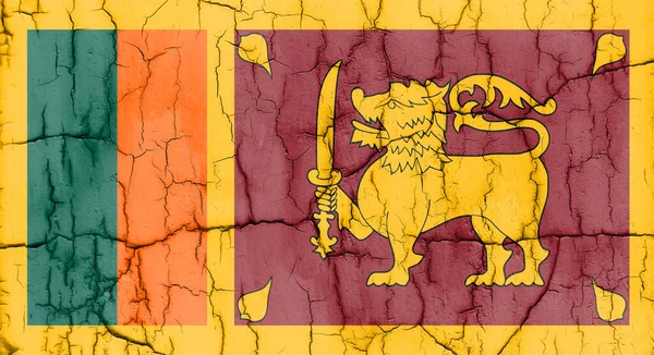 Textured Photo Flag Sri Lanka Cracks — Foto Stock