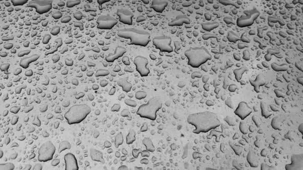 在灰蒙蒙的表面上 雨后水滴的天然抽象背景 顶部视图 黑白录像 — 图库视频影像