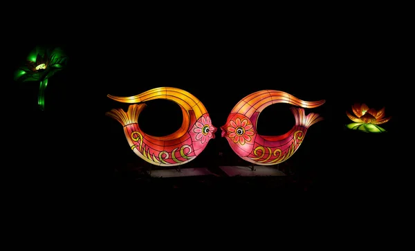 Two Luminous Fish Decoration Chinese Lunar New Year Festival Light — Stock Photo, Image