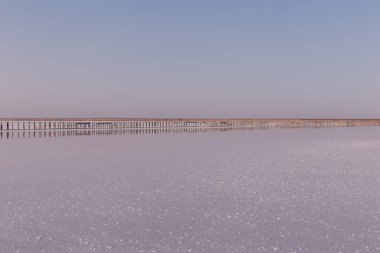 Tuzlu pembe bir göl üzerindeki güzel manzara. Doğa dokuları ve arka planlar