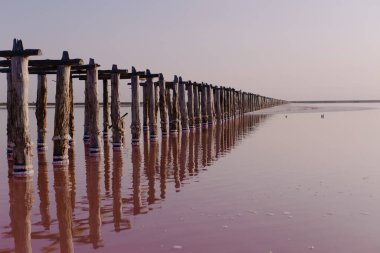 Tuzlu pembe bir göl üzerindeki güzel manzara. Doğa dokuları ve arka planlar