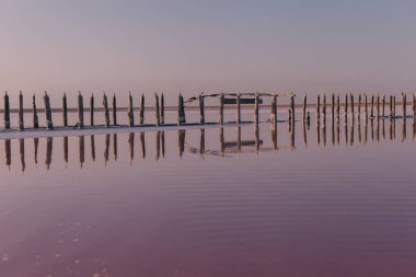 Tuzlu pembe bir göl üzerindeki güzel manzara. Doğa dokuları ve arka planlar