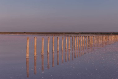 Tuzlu pembe bir göl üzerindeki güzel manzara. Doğa dokuları ve arka planlar